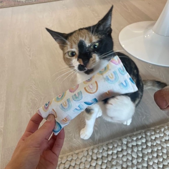 3/$20 Catnip Kickers (Handmade with Organic ‘Nip) - Picture 15 of 15